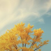 БеZиk Алексей - Дороже золота