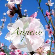 Апрель