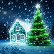 С. Домарева, Козерог старый год провожает