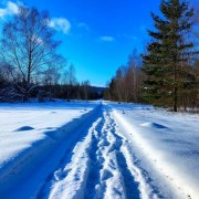 С. Домарева - Новогодняя иноагентам v1