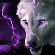 Ari Star & Boris Prizrack - A company that wants to live