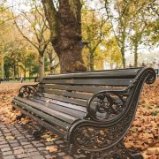 Борис Рыжий, скамейка