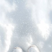 Николай - Лирическая