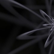 Neurostein - Im Zirp von Wuselbart und Quast