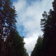 Наталья Гафарова - Свой тихий уголок