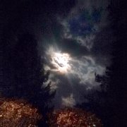 Елена Григоренко- "О боги"