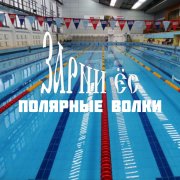 полярные волки - зарни ёс