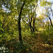 Хронос Олег - Хронически твой