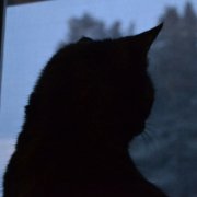 marywasema - possibly