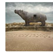 Flai Foursls - Mezans