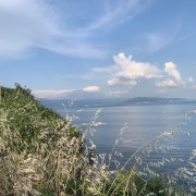 Николай - колосик твой