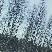 Мысленно рядом