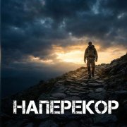 Михаил Панарин - Наперекор Судьбы