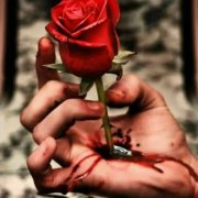 Neim-Ты подарил мне розу красную