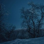 NIKA76NYAH - Inna amazing (moonlight edition)