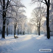 Zazyabrik - December