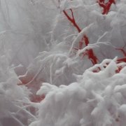 tember - Белый пепел декабря