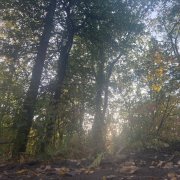 Химические отпечатки - дежавю