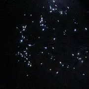 Химические отпечатки - расцвету