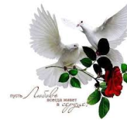 softavdval - глаза в глаза