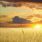 Выйду в поле я один