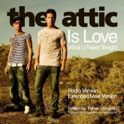 The Attic - Is Love What U Need Tonight (Remix DJ Shpaer)