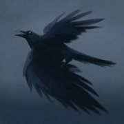 Voron S¡ - Кто ворон?/Who is rawen?