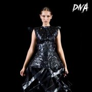 DIVA - Тайна моих крыльев