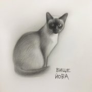 ИИ&ВицеЙова -  Вирт