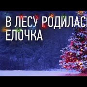 Komoozitor - В лесу родилась ёлочка