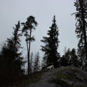 Astra - Елка dance