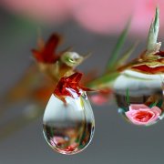 Мельникова Елизавета-Весны волшебные мгновенья