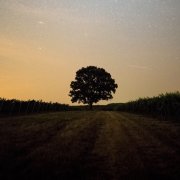 wuconsu - В серых днях где тени длинны