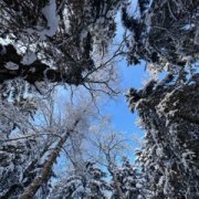 I don’t know if it’s