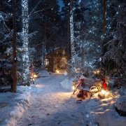 Сергей Пенкин - Новогодняя