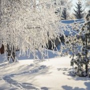 Борис Рыжий, Стоял обычный зимний день