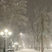 LIRED Белым белом