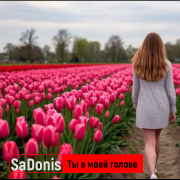 SaDonis - Ты в моей голове