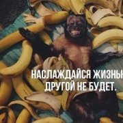 Андрей Киреев - Гуляка