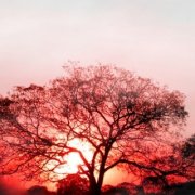 Gera79  "Счастье..."