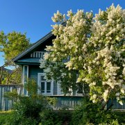 Вадим Смирнов - Школьная улица