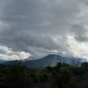 Андреева Алина-Улетай