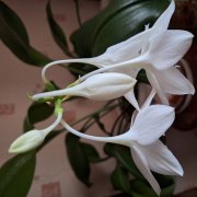 Автор: Евгений Русских-" Я скучаю,по тебе!"