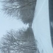 Максим Шипулин- Нападающий