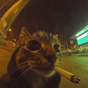 Доза грешников - поток