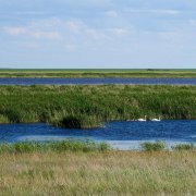 Андрей Семенов - Село Стеклянное