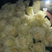 S.Tigress  Белые розы в ладонях моих - фото