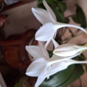 " Страна любви " Автор Евгений Русских.