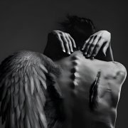 мистраль-FALLEN WINGS  D & B