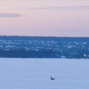 GonchTrack-Ендовищe - фото